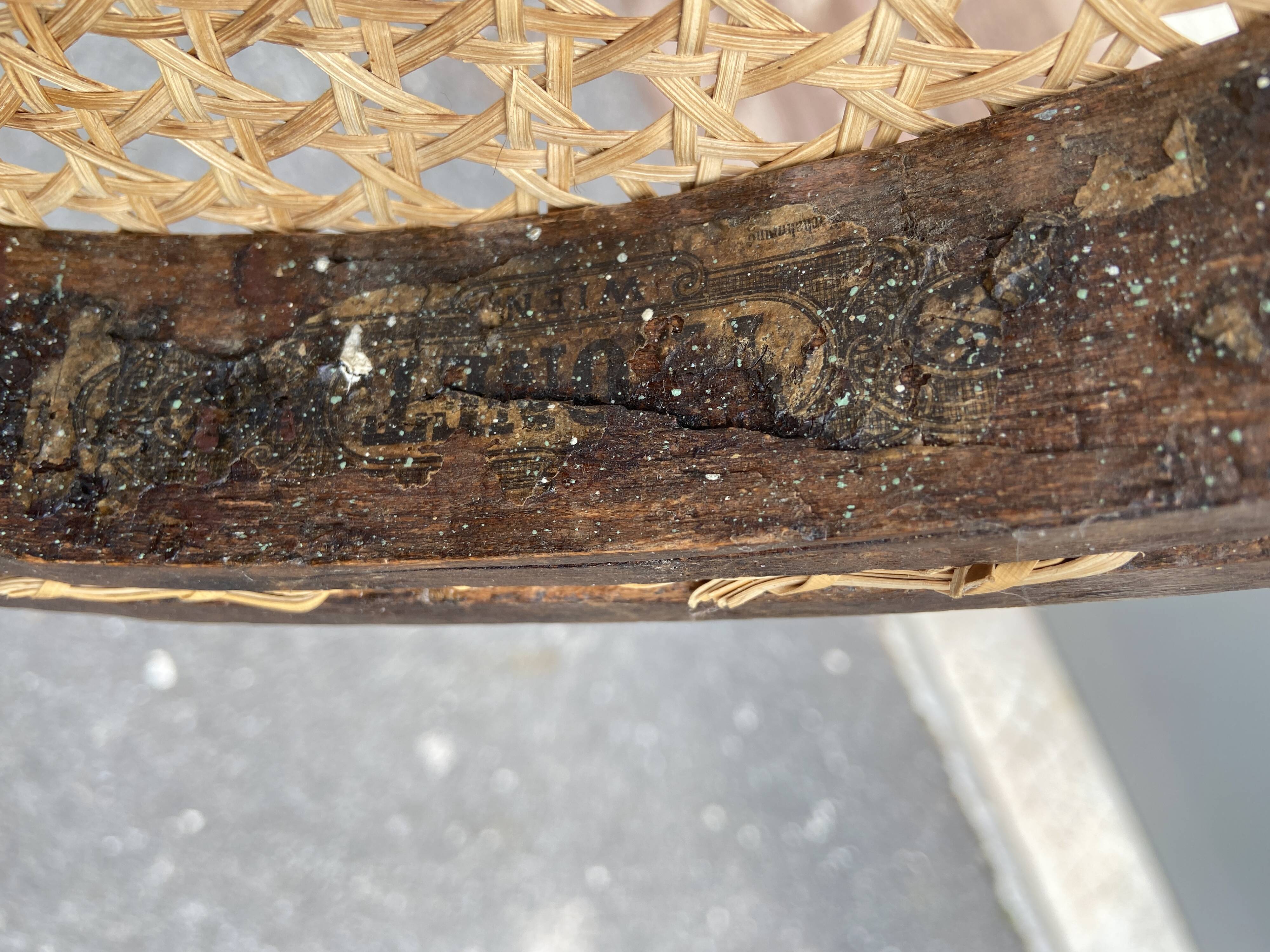 Canine bistro chair Thonet Nr 20 Omega