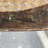 Canine bistro chair Thonet Nr 20 Omega