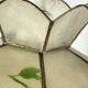 Capiz shell pendant light with flowers