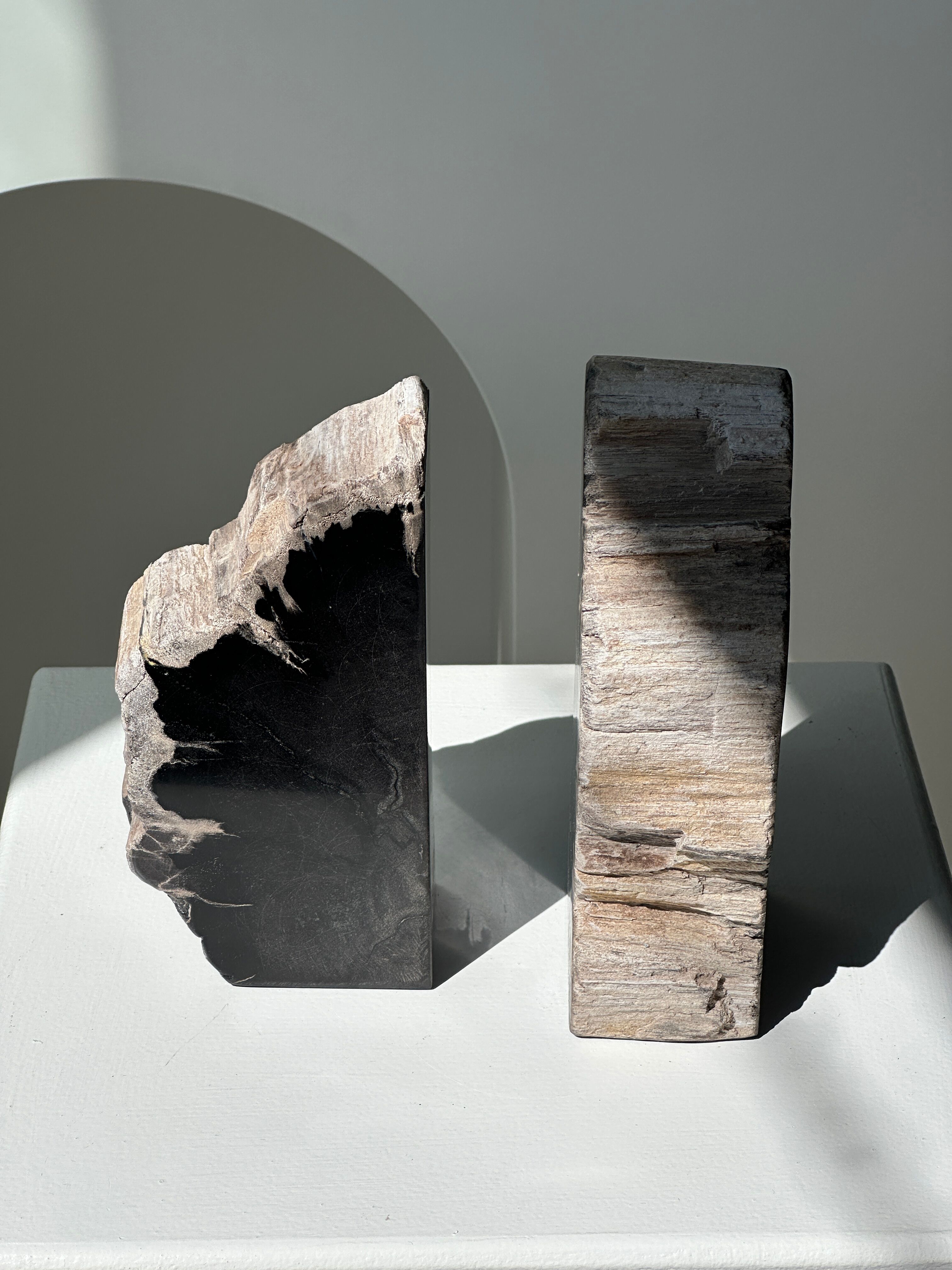 Black petrified wood bookend H17 L17 P6