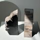 Black petrified wood bookend H17 L17 P6
