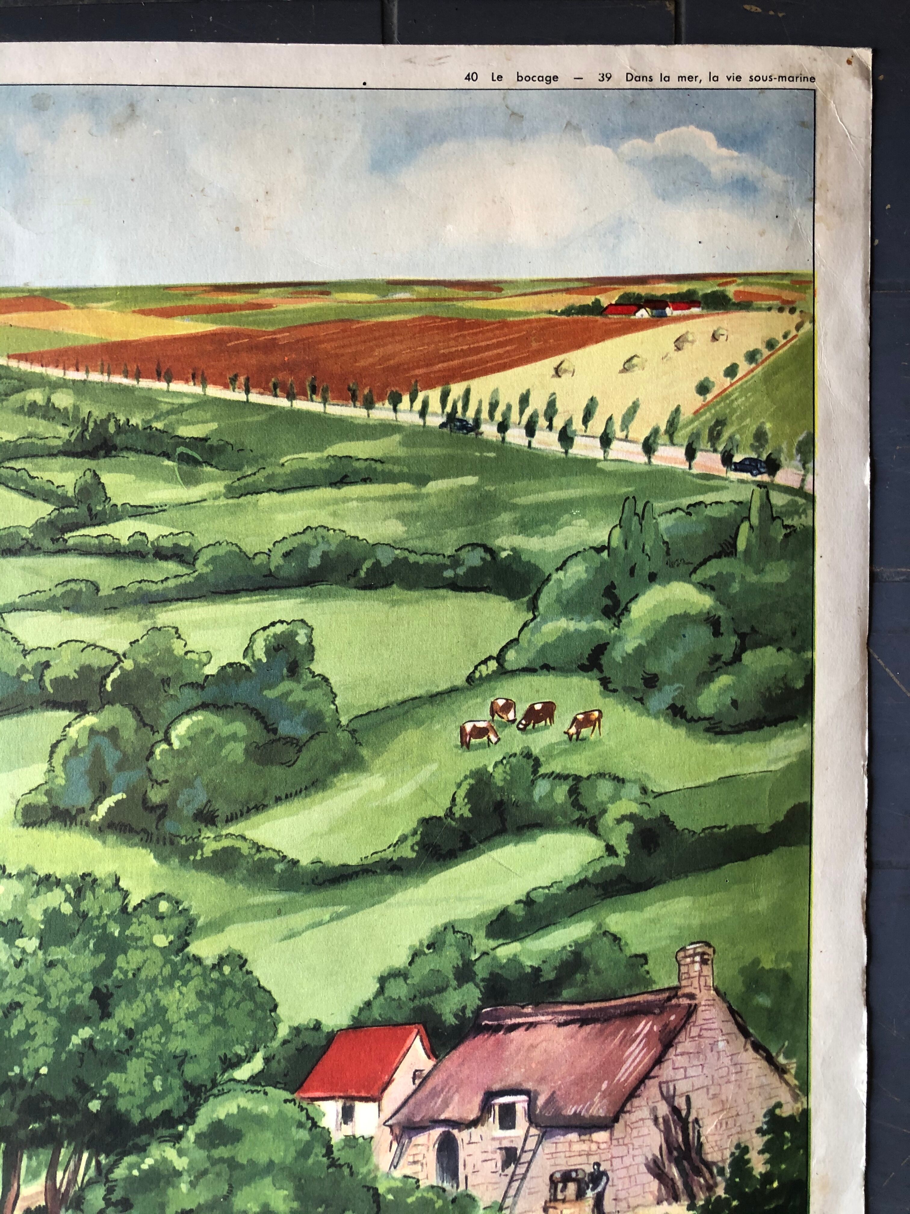 Ancient pedagogical poster