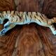 Ceramic tiger from Cortendorf, Julius Griesbach S., Germany 1960