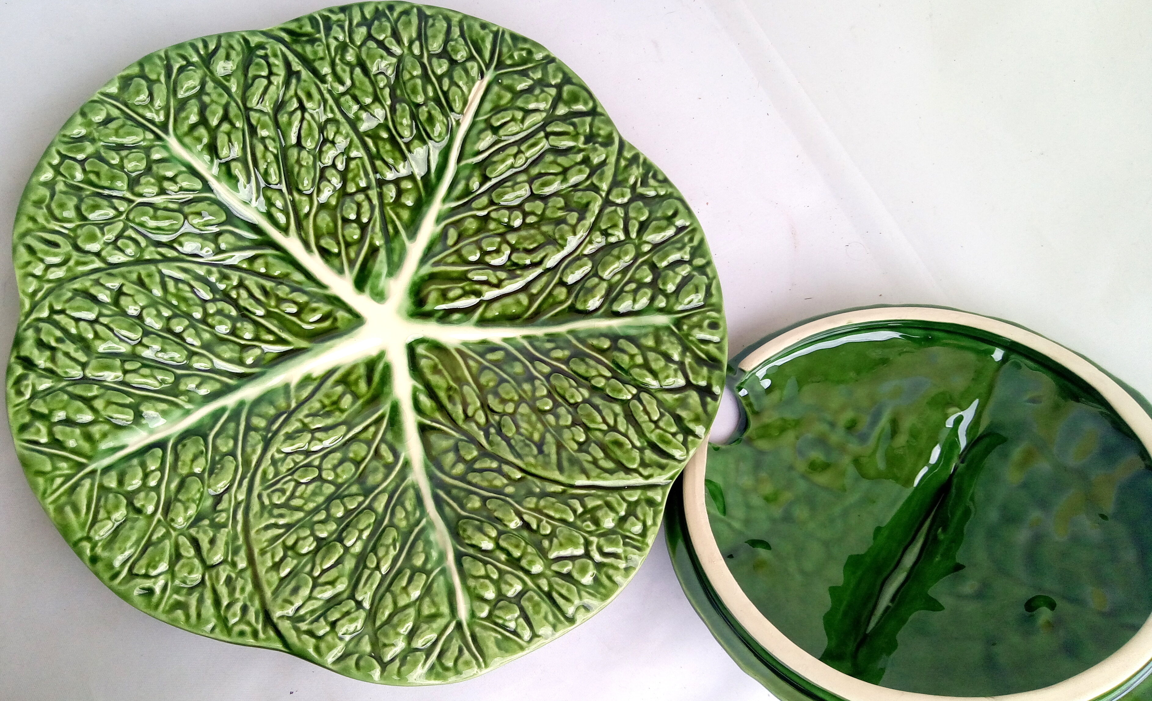 Dabbling cabbage leaf soup bowl