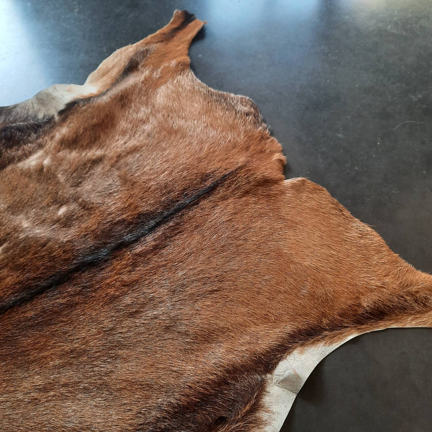 Goat skin 135 cm x 88 cm