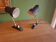 2 metal wall lights from the 60s.