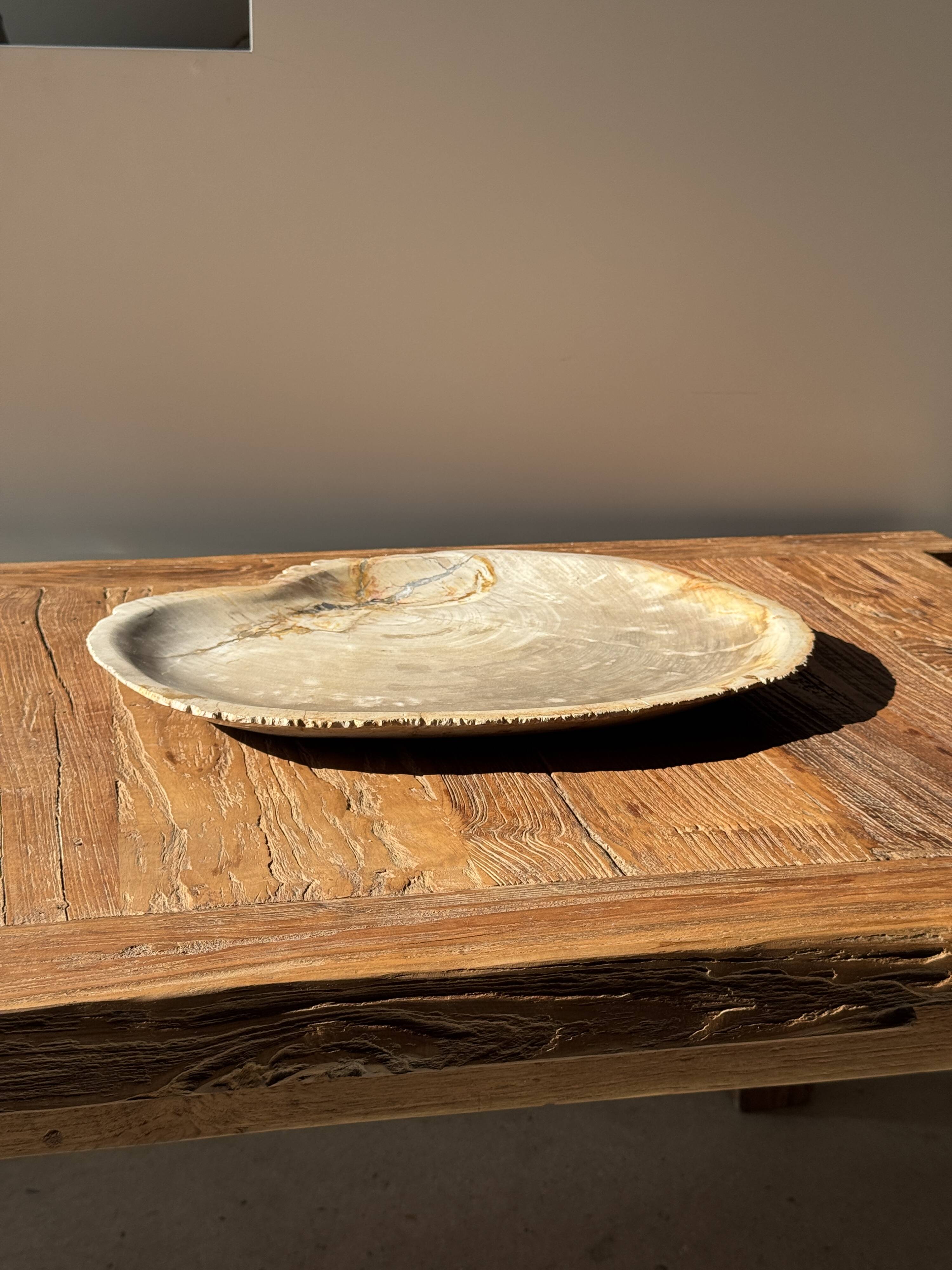 Very large pocket tray or dish in beige petrified wood D35