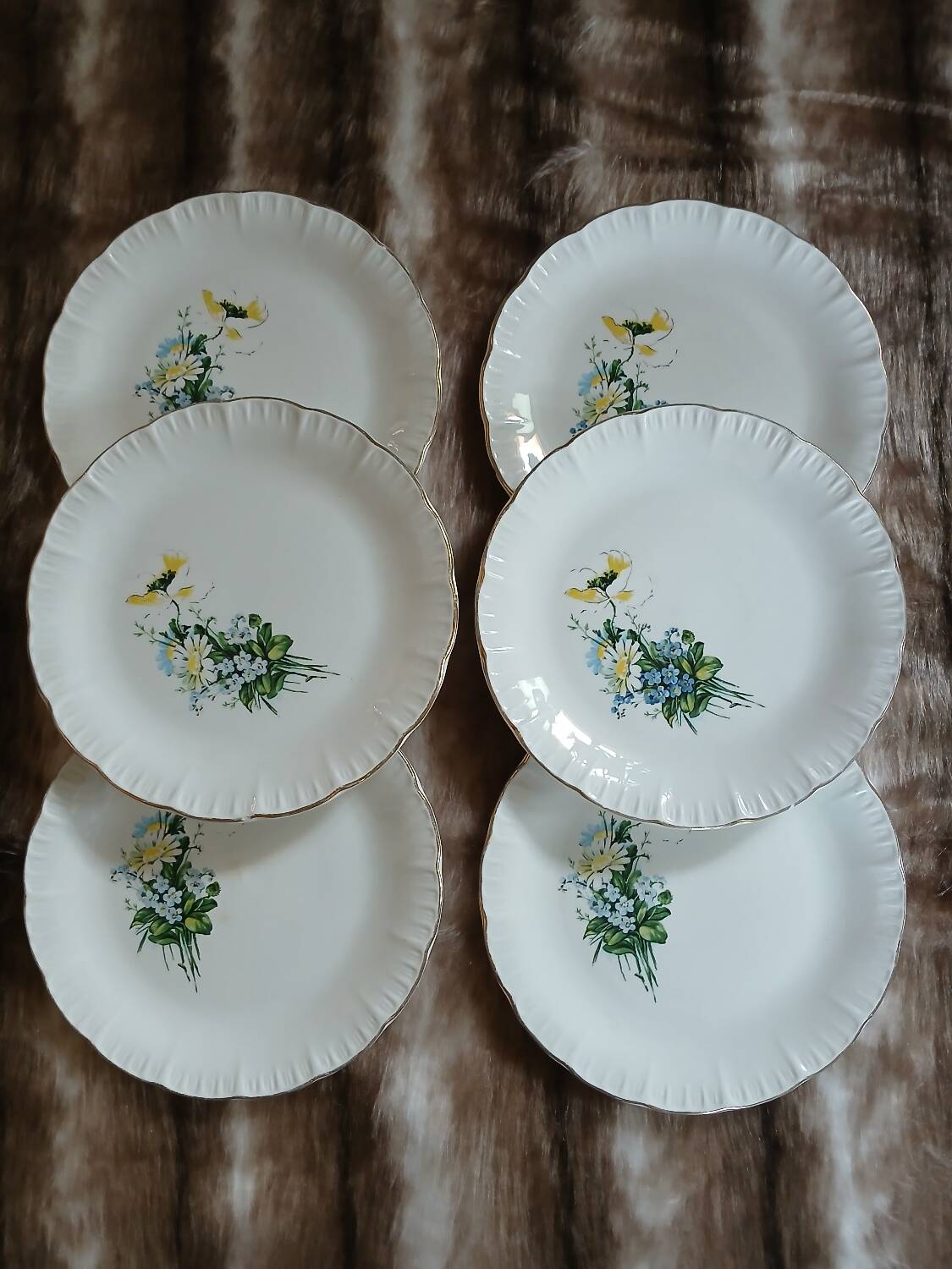 6 antique dessert plates from Digoin and Sarreguemines