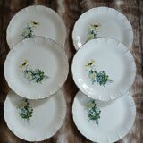 6 antique dessert plates from Digoin and Sarreguemines