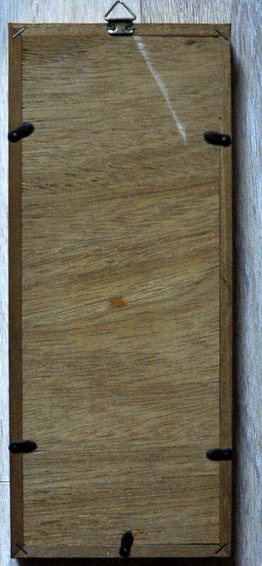 Frame with naturalized butterflies