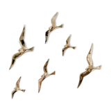 Soaring 6 golden brass swallows