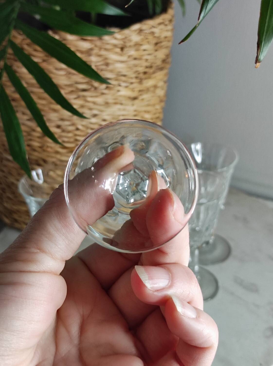 Stemmed liqueur glasses