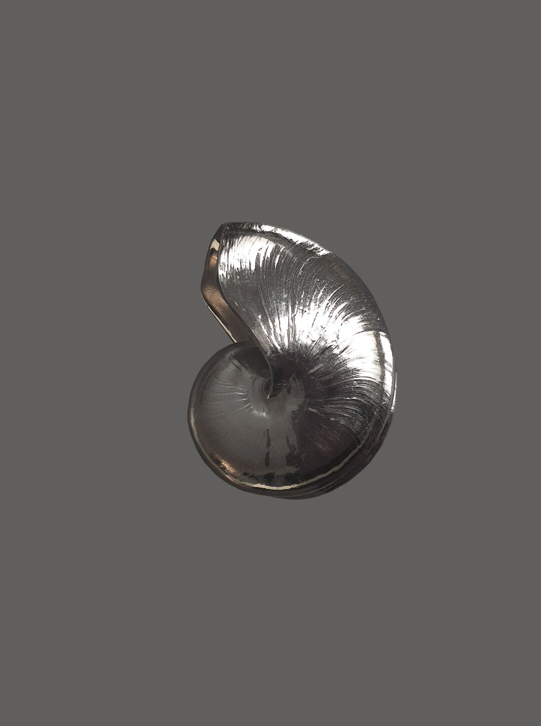 Nautilus Shell Sculpture