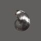 Nautilus Shell Sculpture
