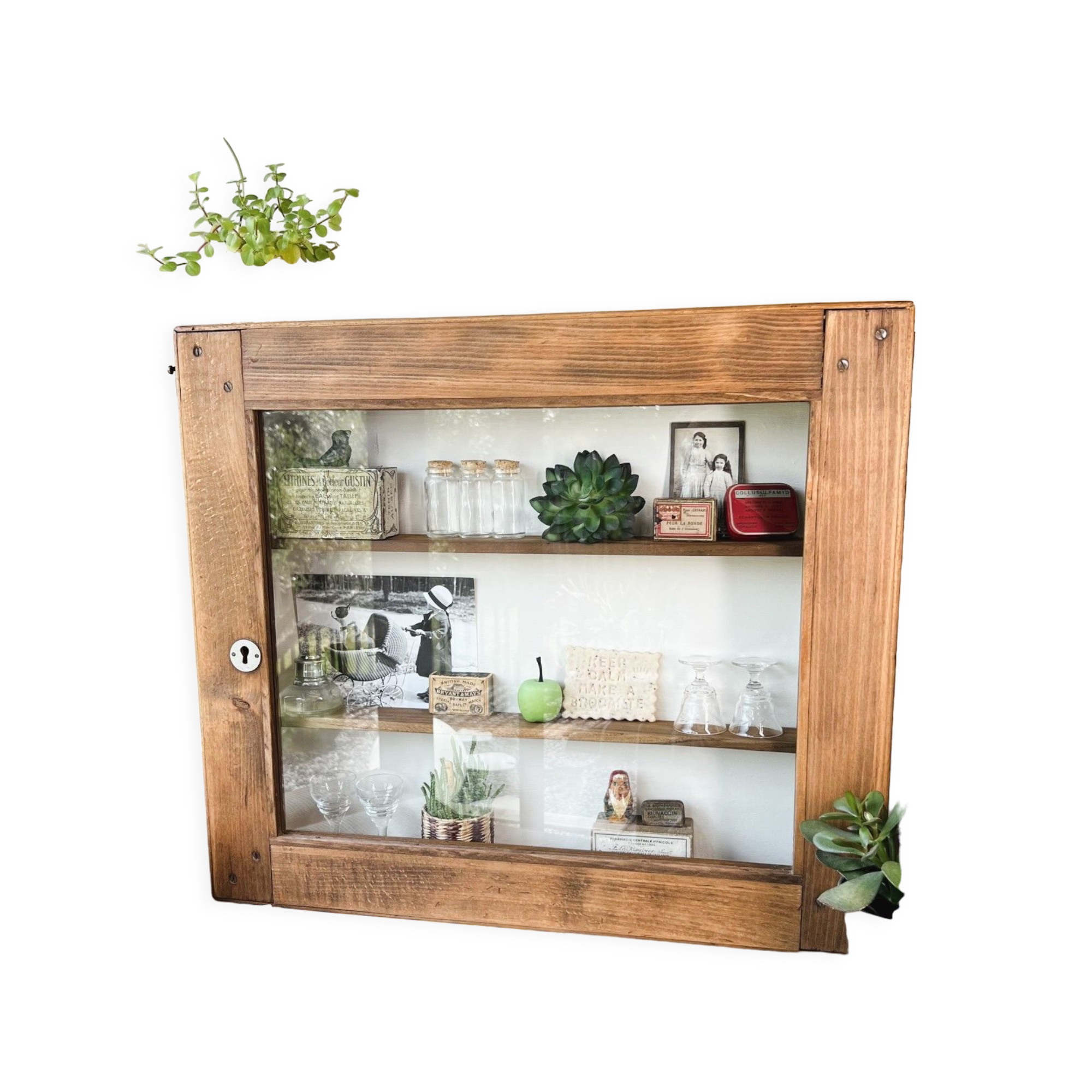 Restaurant wall showcase