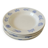Set of 4 shell plates