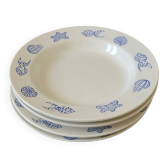 Set of 4 shell plates