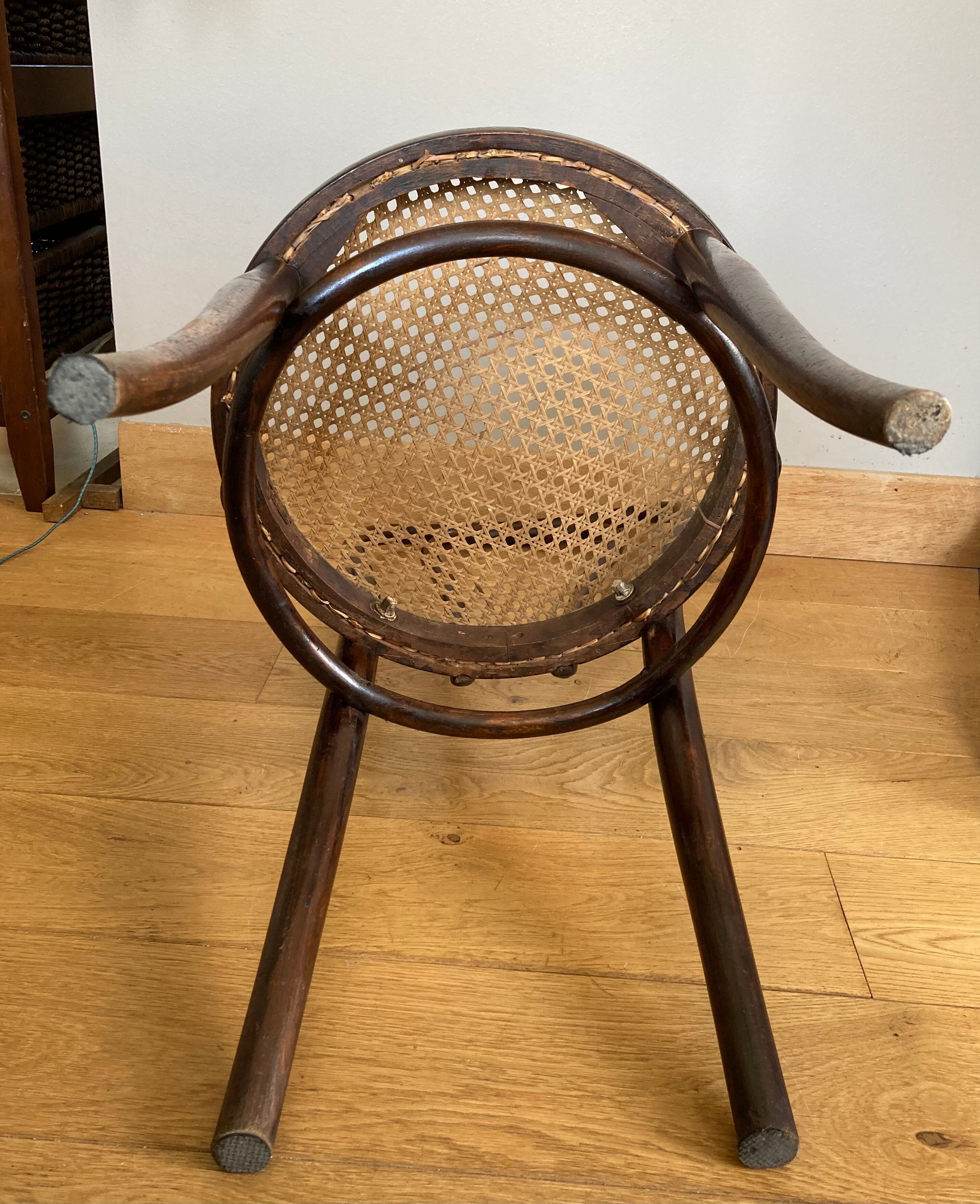 Real Tuna Chair in curved wood, label + hot iron stamp
