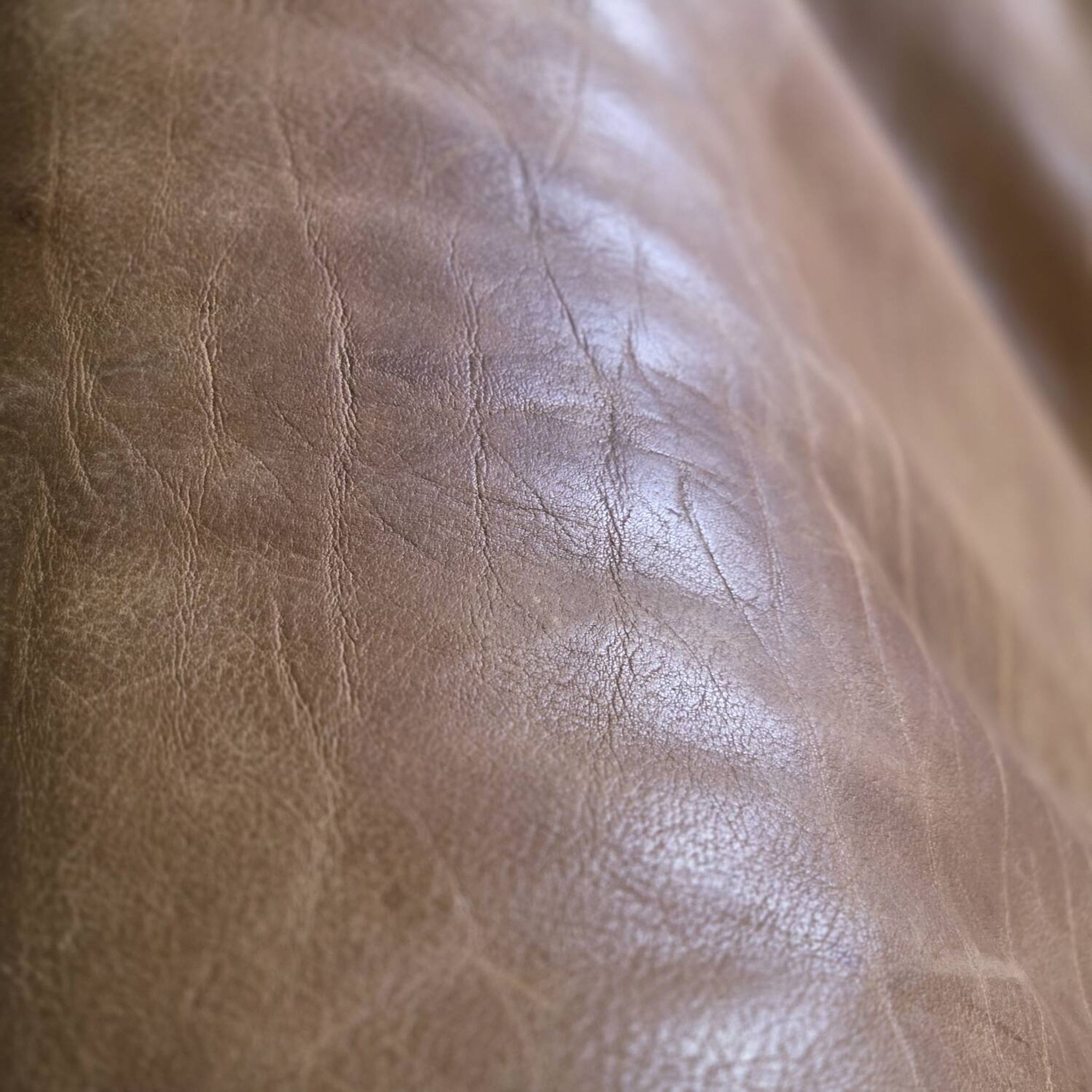 2 leather lounge chairs De Sede DS-46 vintage design from the 1970s