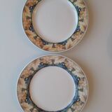 Set of 4 porcelain plates from SARREGUEMINES - PYROBLAN - Model FLORENCE