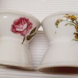 Pair of flowers shells