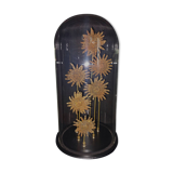 Cabinet of Curiosities globe with starfish heliaster kubiniji