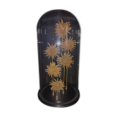 Cabinet of Curiosities globe with starfish heliaster kubiniji