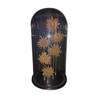 Cabinet of Curiosities globe with starfish heliaster kubiniji
