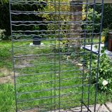 50s bottle locker - capacity 360 bottles