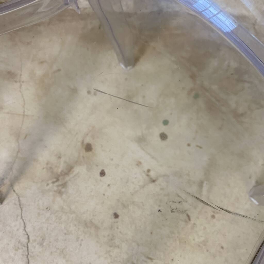 Pair of transparent polycarbonate chairs