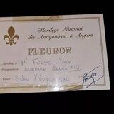 Louis XIV castle wardrobe, 18th century