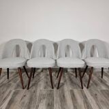 Dining Chairs by Antonin Suman, 1960s, Set of 4