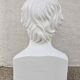 Plaster bust "F. ARAGO / 1839" made by P.J. DAVID (of Angers)
