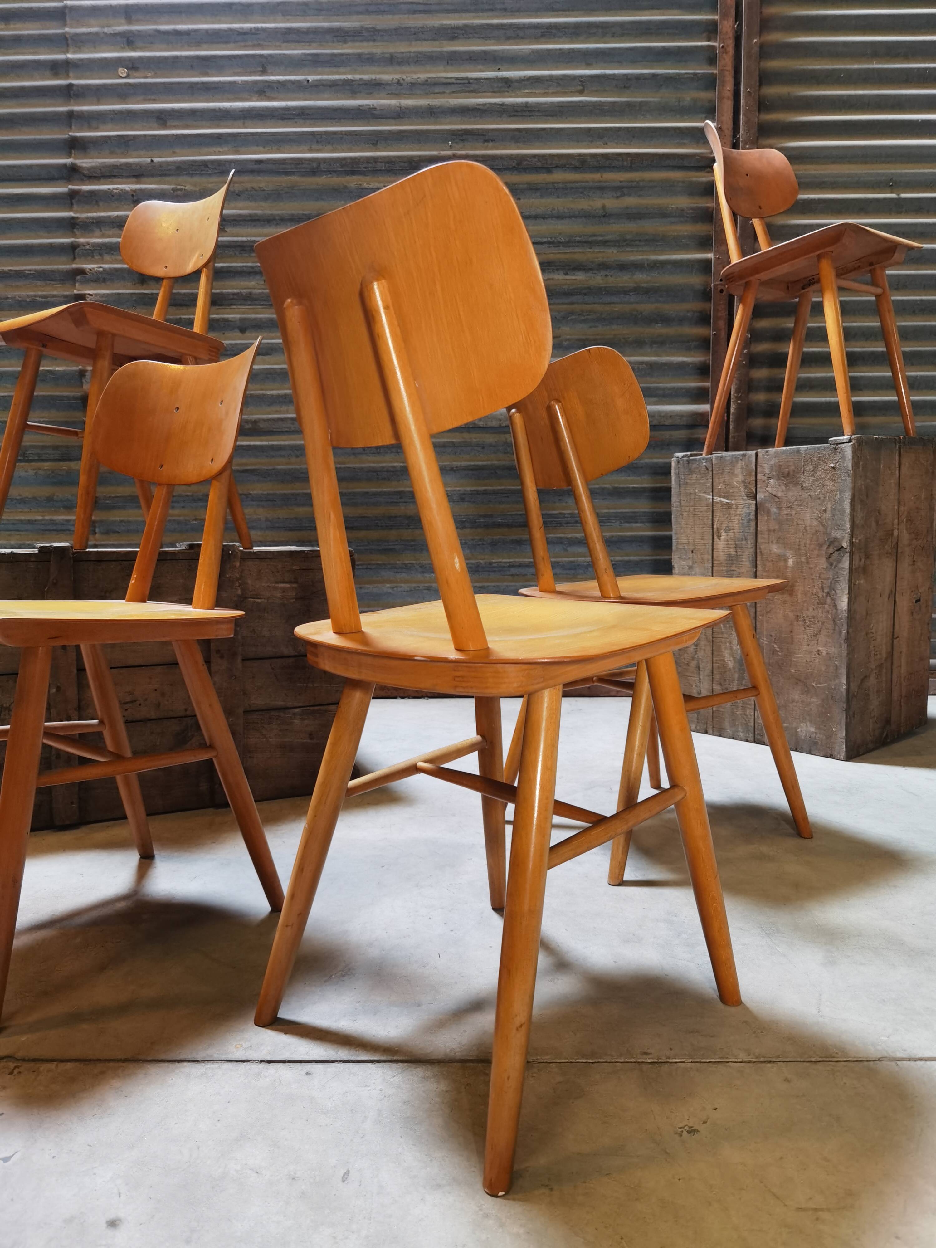 Set of 5 all-wood chairs published by Ton 1960