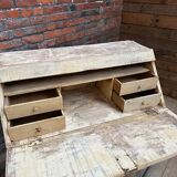 Secretary, late 19th century