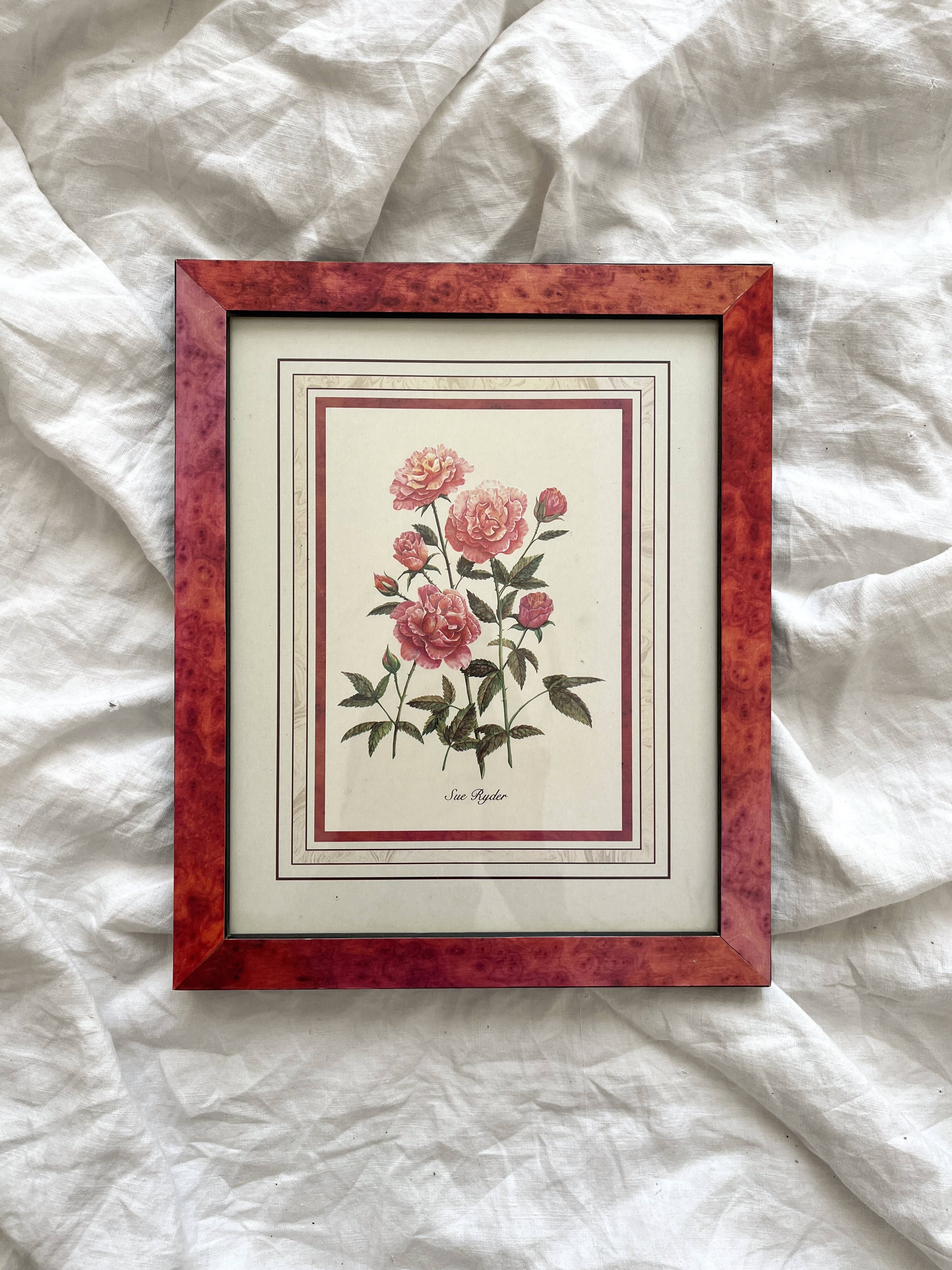 Vintage botanical lithograph