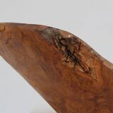 Grand bol en bois de racine organique, France, années 1950