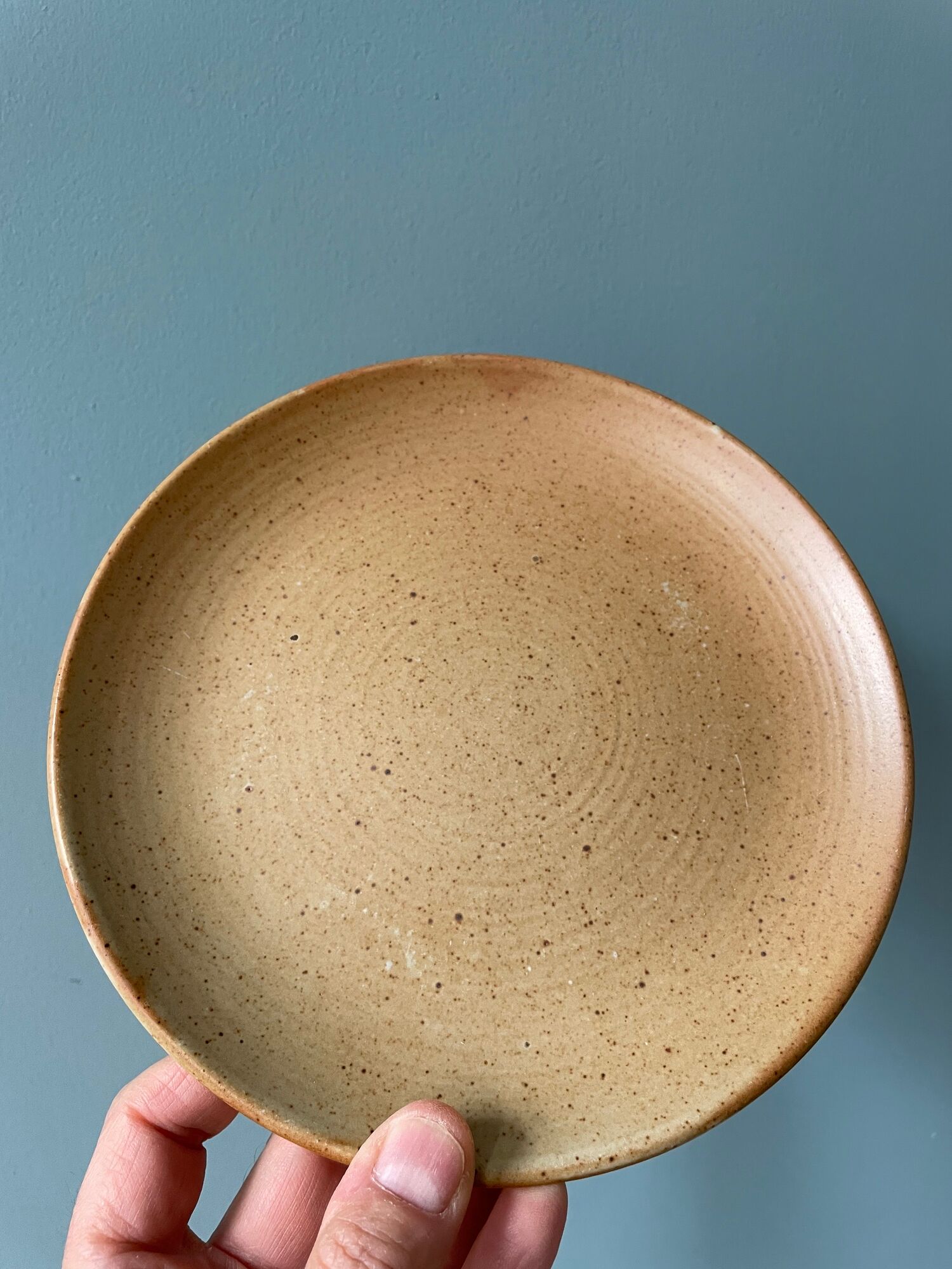 Set of 10 small vintage plates in Stoneware CNP Village France