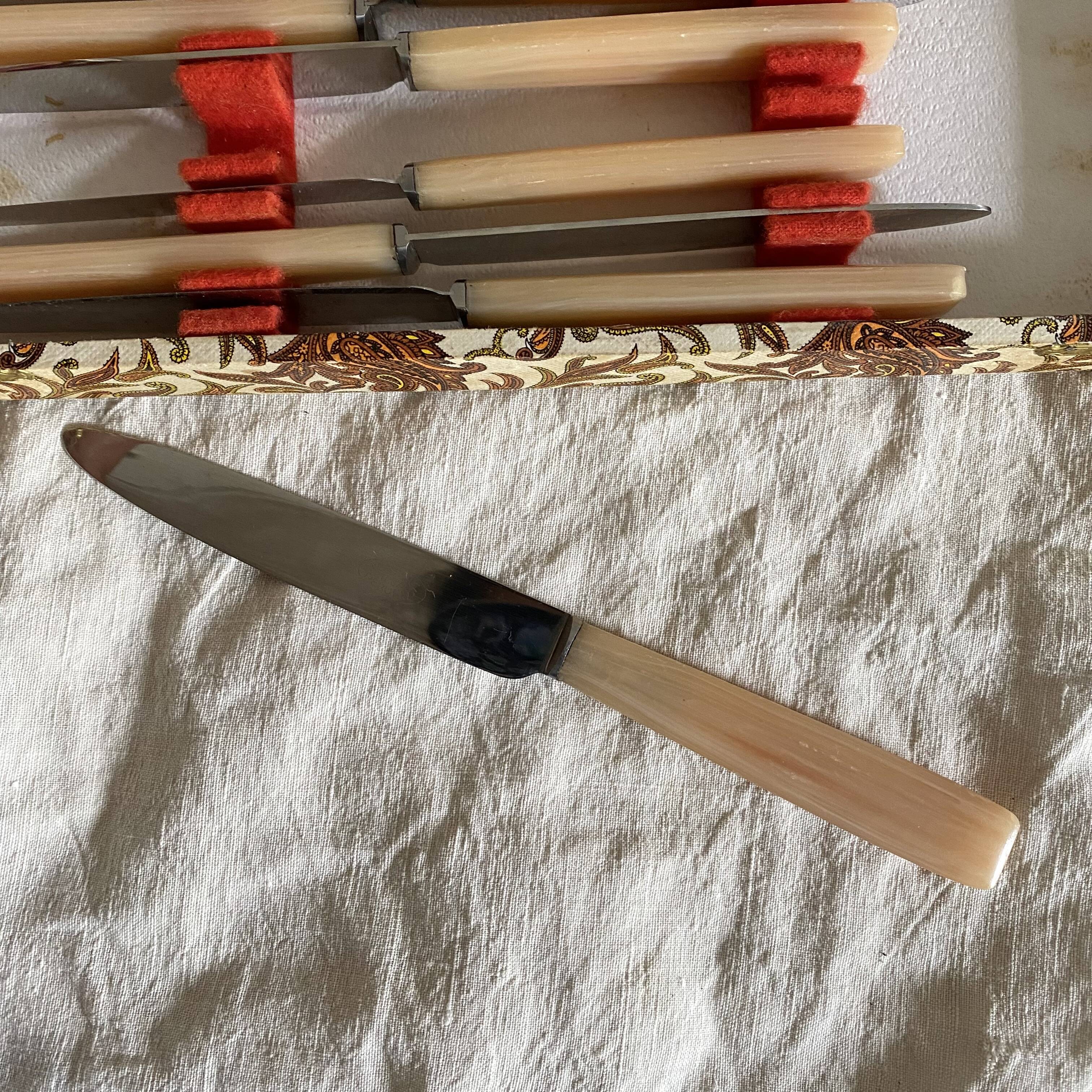 Vintage resin and stainless steel knives