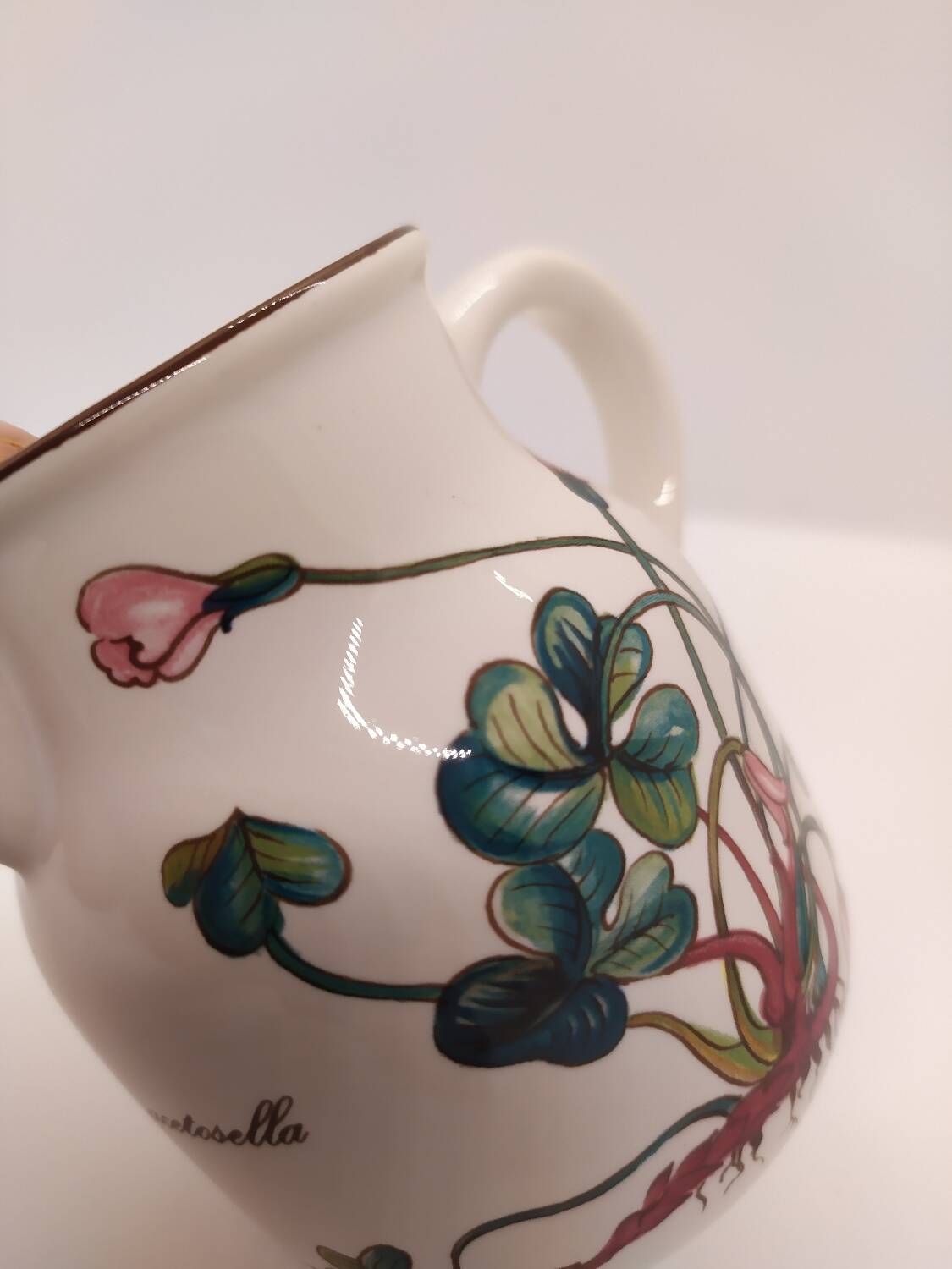 Villeroy & Boch Botanica milk jug