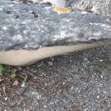 Handkerchief planter by Willy Guhl for Eternit 1950