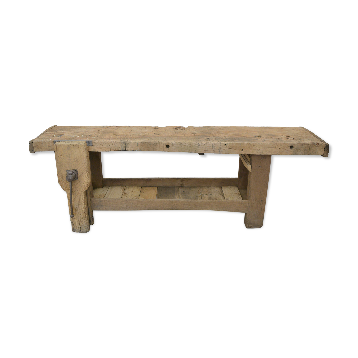 Oak establishment from the 30s