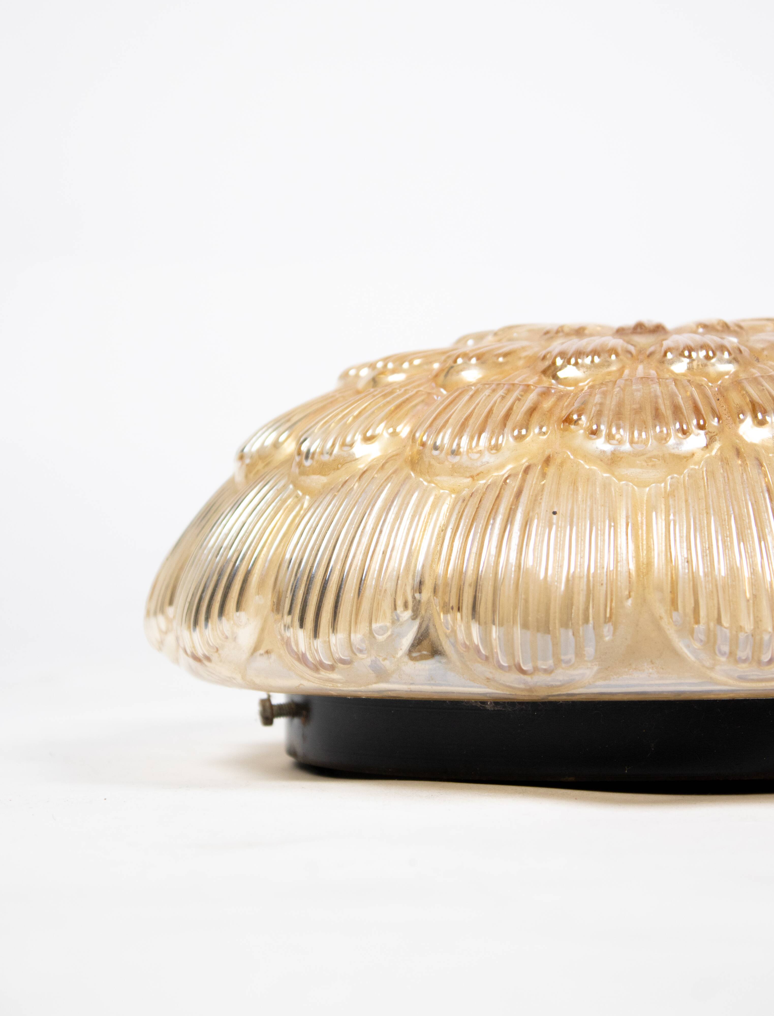 Pair of smoked glass ceiling lights