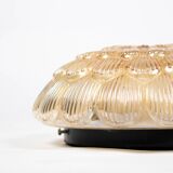 Pair of smoked glass ceiling lights