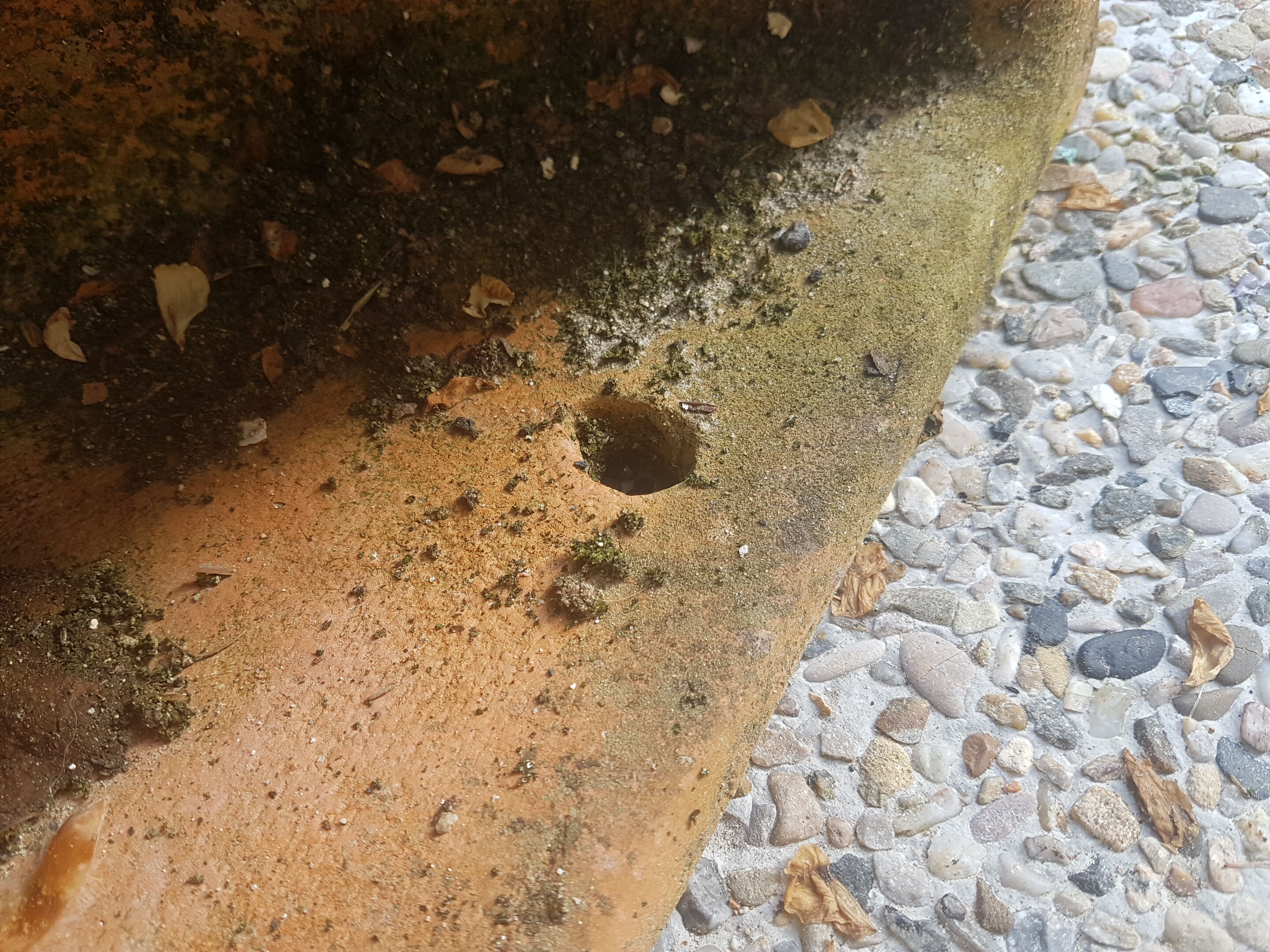 Pair of planter wall half moon