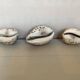 Trio of tiger cowrie shells