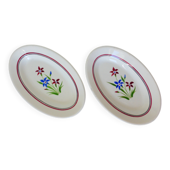 2 vintage dishes from Salins model Lily 2106214