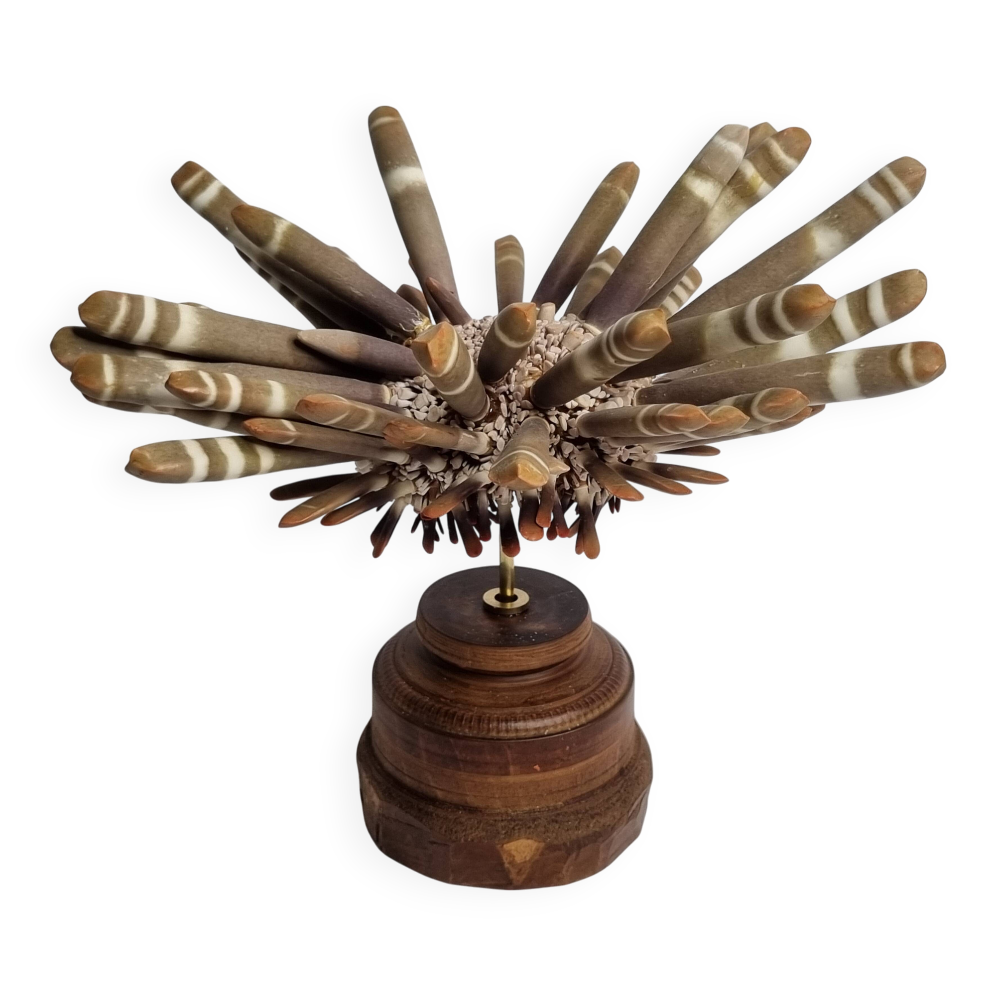 Antique sea urchin pencil on turned wooden base, 22 cm