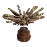 Antique sea urchin pencil on turned wooden base, 22 cm