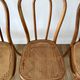 Set of 4 cane chairs in bentwood and honey-coloured cane thonet early 20th century